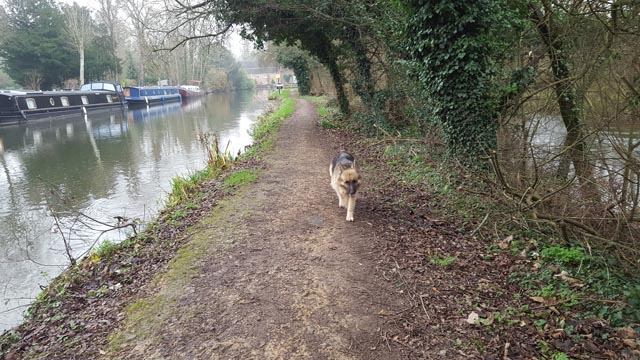 Canal Walk 20191227 2